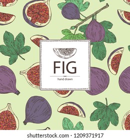 Background with figs: fruit and piece of fig. Vector hand drawn illustration.