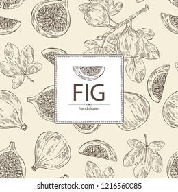 Background with figs: fruit and piece of fig. Vector hand drawn illustration.