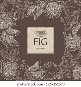 Background with figs: fruit and piece of fig. Vector hand drawn illustration.