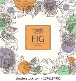 Background with figs: fruit and piece of fig. Vector hand drawn illustration.