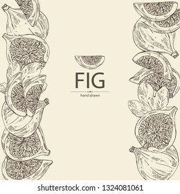 Background with figs: fruit and piece of fig. Vector hand drawn illustration.