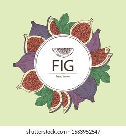 Background with figs: fruit and piece of fig. Vector hand drawn illustration.