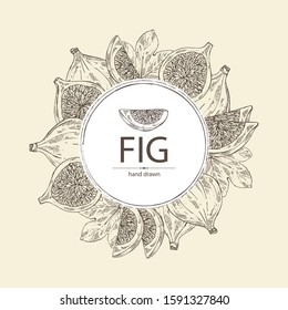 Background with figs: fruit and piece of fig. Vector hand drawn illustration.