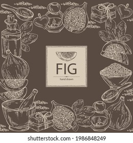 Background with figs: fruit and piece of fig. Soap and bath salt . Cosmetic and medical plant. Vector hand drawn illustration. 