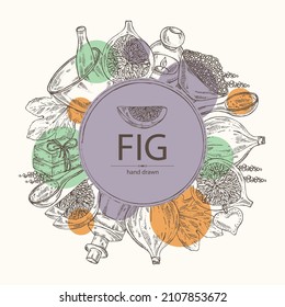 Background with figs: fruit and piece of fig. Soap and bath salt . Cosmetic and medical plant. Vector hand drawn illustration. 