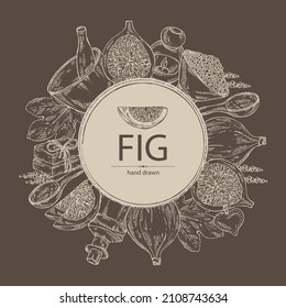 Hintergrund mit Feigen: Früchte und Feigenstück. Seife und Badesalz. Kosmetische und medizinische Pflanze. Vektorgrafik, handgezeichnet. 