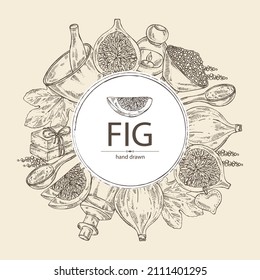 Background with figs: fruit and piece of fig. Soap and bath salt . Cosmetic and medical plant. Vector hand drawn illustration. 