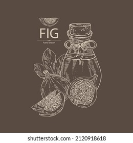 Background with figs: fruit, piece of fig and bottle of figs essential oil. Cosmetic, perfumery and medical plant. Vector hand drawn illustrati