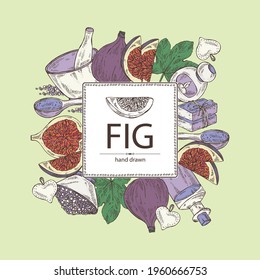 Background with figs: fruit and pieces of fig, Soap and bath salts . Cosmetic and medical plant. Vector hand drawn illustration. 