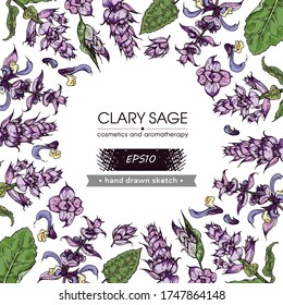 Background filled with Clary sage twigs with leaves and flowers and with empty circle inside. Detailed hand-drawn sketches, vector botanical illustration.  For menu, label, packaging design.
