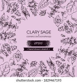 Background filled with Clary sage twigs with leaves and flowers and with empty circle inside. Detailed hand-drawn sketches, vector botanical illustration.  For menu, label, packaging design.