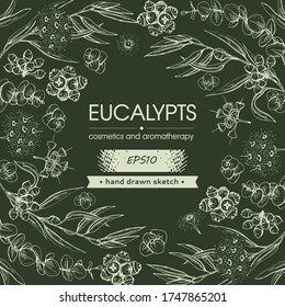 Fondo lleno de hojas de eucalipto, brotes jóvenes y ramas de eucalipto con flores, brotes y semillas y con círculo vacío dentro. Esbozos detallados dibujados a mano, ilustración botánica vectorial