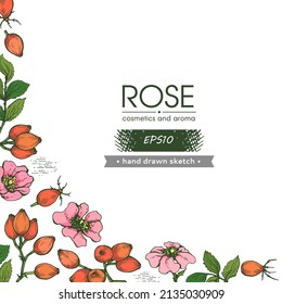 Background filled with Rosa canina and with empty circle inside. Detailed hand-drawn sketches, vector botanical illustration.