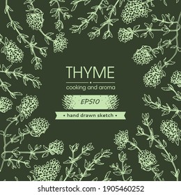 Background filled with twig of thyme with leaves and flowers and with empty circle inside. Detailed hand-drawn sketches, vector botanical illustration.