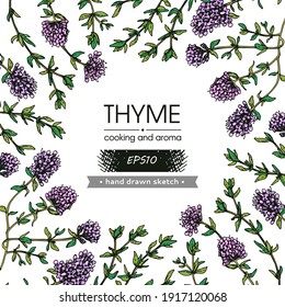 Background filled with twig of thyme with leaves and flowers and with empty circle inside. Detailed hand-drawn sketches, vector botanical illustration.