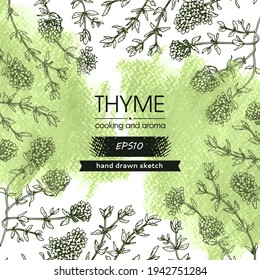 Background filled with twig of thyme with leaves and flowers and with empty circle inside. Detailed hand-drawn sketches, vector botanical illustration.