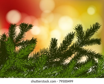 background with fir branches and lights