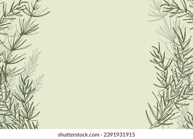 Background with fir branches for text, hand drawn vector illustration boho ornament. Floral backdrop with plants natural motive for congratulations Winter holidays, New Year, Christmas for card, web