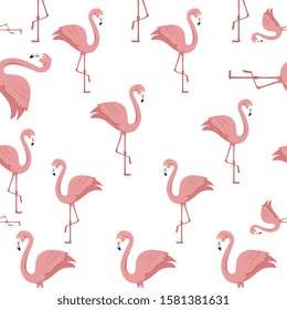 background of flamingos pink animals exotic vector illustration design