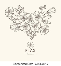 Background with flax: flower and flax plant. hand drawn