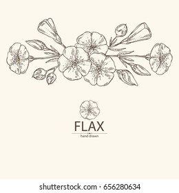 Background with flax plant seeds and flowers. Vector hand drawn illustration