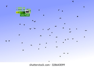Background flock of birds. Vector