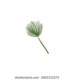 background of flora and palm leaves