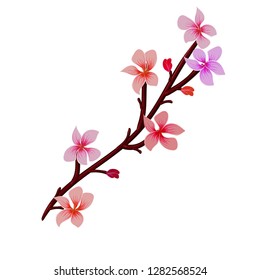 Background with floral pattern with blooming flowers. Vector illustration without gradients and transparency