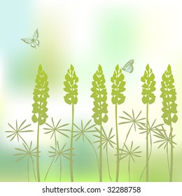 Background from flower of the lupine