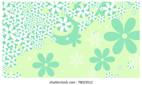 background, flower, stars beautiful white spring marguerite against background
