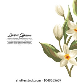 background flower white