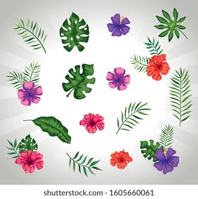 background of flowers with branches and leafs vector illustration design