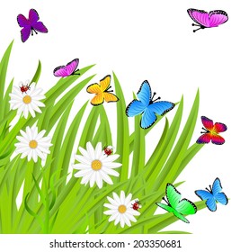 background  with flowers and butterflies, vector illustration