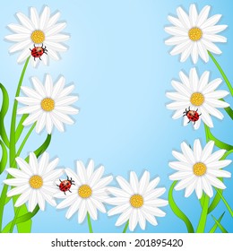 background with the flowers of camomile and ladybirds,vector illustration