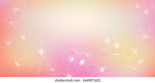 Background with flowers of cherry blossoms, white on pink and yellow