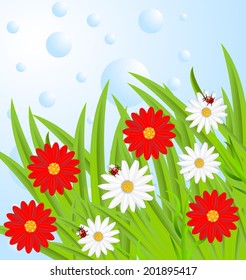 background  with flowers and ladybirds,  vector  illustration