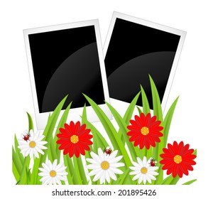 background  with flowers and ladybirds,  vector  illustration