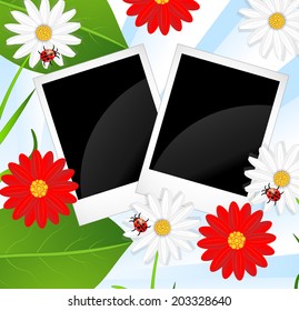 background  with flowers and ladybirds,  vector  illustration