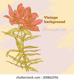 Background with flowers lily