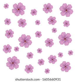 background of flowers natural decoration vector illustration design