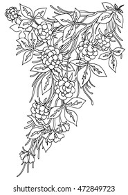 Background with flowers and plants. Black and white doodle vector illustration. Coloring book for adult and older children. Outline drawing.
