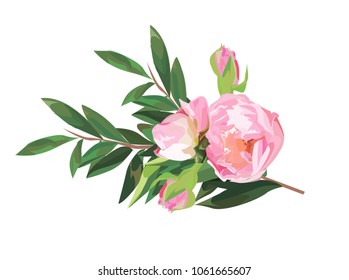 BACKGROUND FLOWERS, ROSES