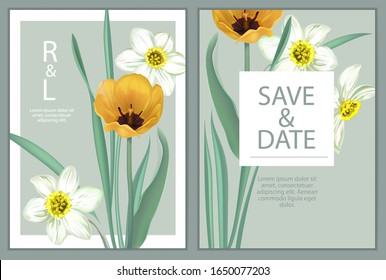 Background of flowers of tulips, daffodils, narcissus. Spring greeting card, happy birthday, from March 8, wedding, advertising, sales, discounts, labels