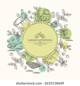 Background with  flueggea suffruticosa: flueggea plant, leaves, flueggea flowers and flueggea suffruticosa berries. Securinega suffruticosa. Oil, soap and bath salt . Cosmetics and medical