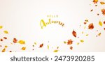 background of fluttering leaves Background for autumn Vector illustration