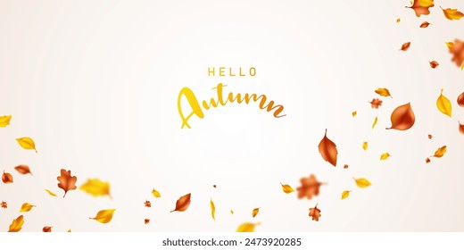 background of fluttering leaves Background for autumn Vector illustration