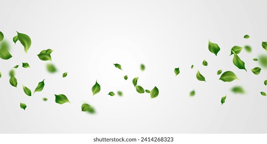 background of fluttering leaves Vector illustration