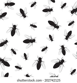 Background of a fly black and white color.