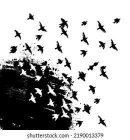 Background with flying birds and black blot. Vector illustration