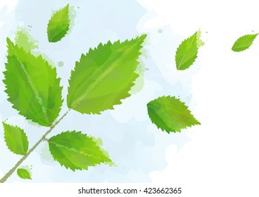 Background from flying green leaves